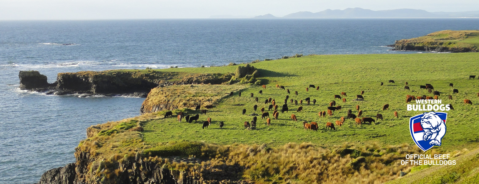 Tasmania Coastline