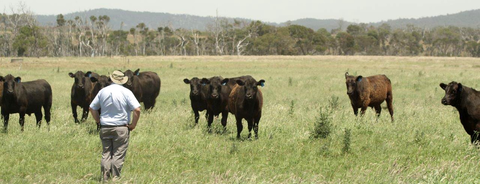 Richard Sattler, Barnbougle in Tasmania’s North East